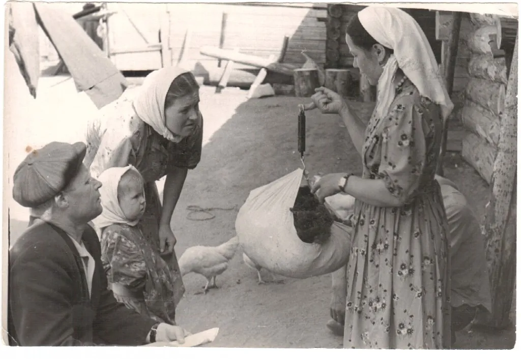 Приём шерсти, 1965